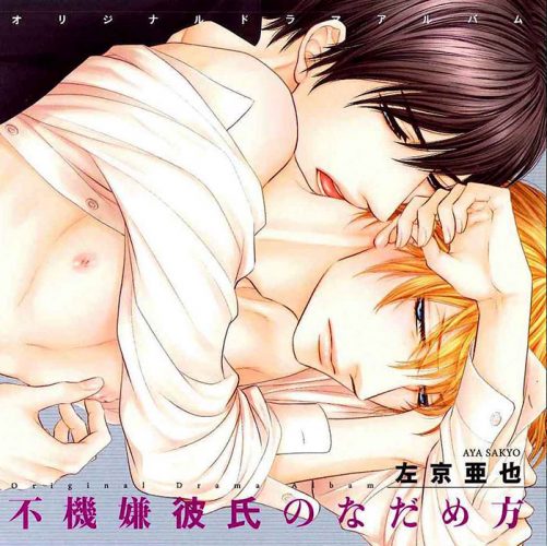 Kuroneko-Kareshi-no-Aishikata-Wallpaper-500x500 [Fujoshi Friday] Top Manga by Ayane Ukyou
