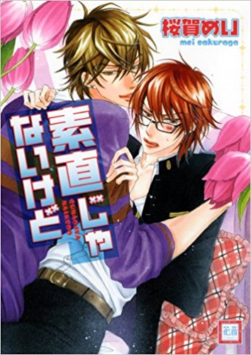 kirai-jya-naikedo-Wallpaper Top 10 Manga by Sakuraga Mei [Best Recommendations]