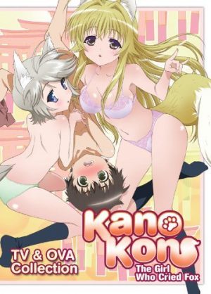 Harem Anime With Sex