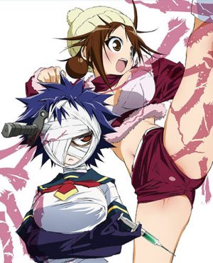 Busou-Shoujo-Machiavellism-dvd-300x429 6 Anime Like Busou Shoujo Machiavellism (Armed Girl's Machiavellism) [Recommendations]