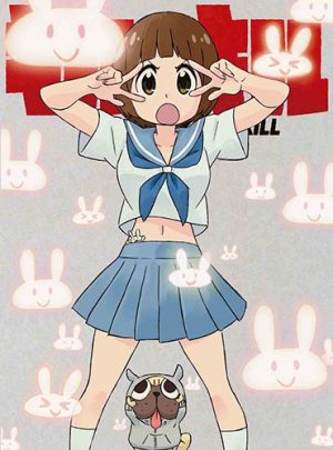 Rolling-Girls-dvd-300x397 6 Anime Like Rolling☆Girls [Recommendations]