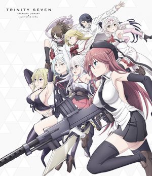 Seiken-Tsukai-no-World-Break-Wallpaper-500x500 Top 10 Action Harem Anime [Updated Best Recommendations]