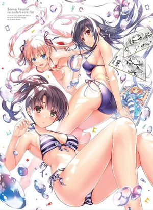 Gamers-dvd-225x350 [Make A Game Summer 2017] Like Saenai Heroine no Sodatekata (Saekano: How to Raise a Boring Girlfriend)? Watch This!