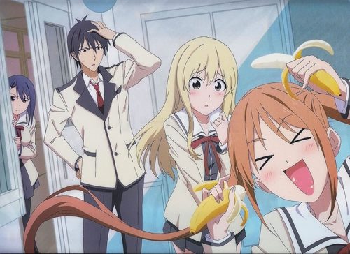 aho-girl-dvd [Honey's Crush Wednesday] 5 Akuru Akutsu Highlights - Aho Girl