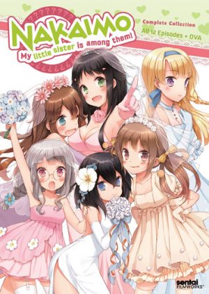 Kawaikereba-Hentai-demo-Suki-ni-natte-kuremasuka-dvd-300x417 6 Anime Like Kawaikereba Hentai demo Suki ni Natte Kuremasu ka? (Would you even fall in love with perverts if they are cute?) [Recommendations]