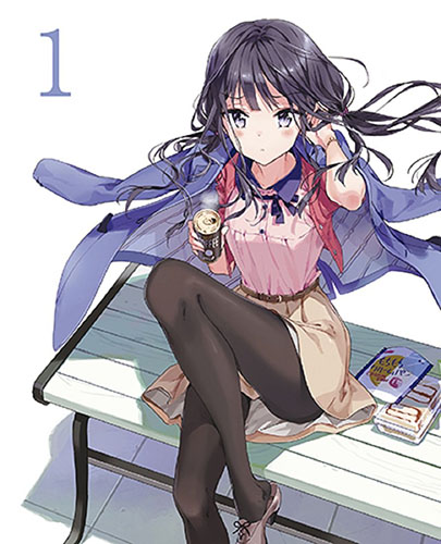 Masamune-kun-no-Revenge-dvd Top 10 Entertaining Masamune-kun no Revenge (Masamune-kun’s Revenge) Characters