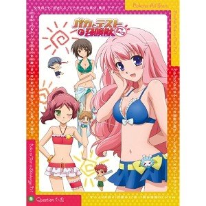 Haganai-Boku-wa-Tomodachi-ga-Sukunai-wallpaper Los 10 mejores episodios en la playa del anime