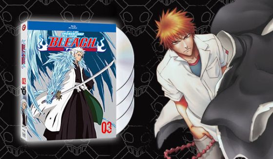 hunterxhunter-capture-blu-ray-2-560x327 New VIZ Releases: Hunter X Hunter Vol. 3 & Bleach Set 3