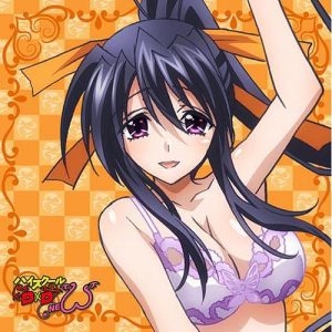 High-School-DxD-Hero-Wallpaper-500x496 High School DxD Hero Review - Of Oppai and Dragons