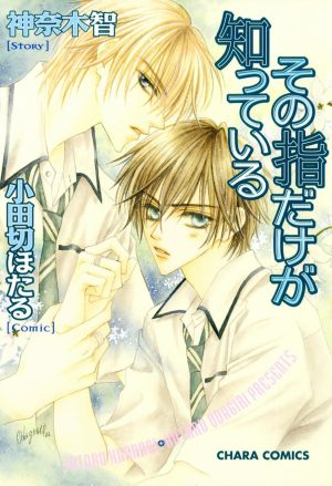Iason-Mink-Ai-no-Kusabi-wallpaper-500x493 [Fujoshi Friday] Top 10 BL Light Novels [Best Recommendations]