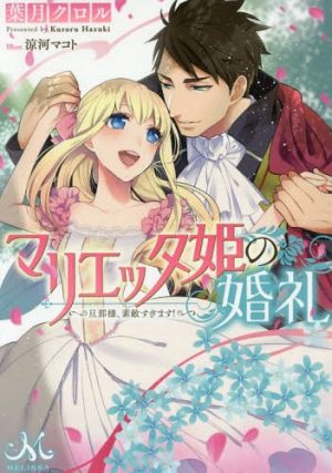 Shinigamihime-no-Saikon-Wallpaper Top 10 Josei Light Novels [Best Recommendations]