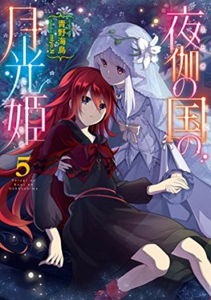Shinigamihime-no-Saikon-Wallpaper Top 10 Josei Light Novels [Best Recommendations]