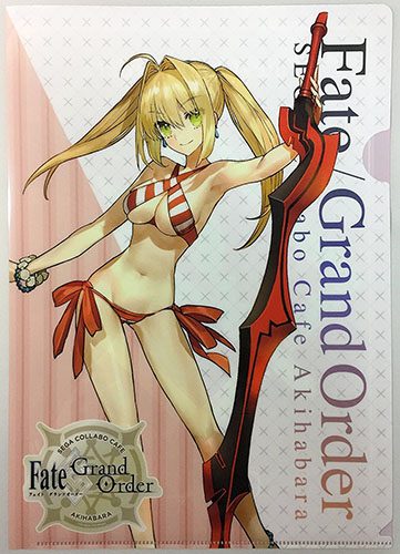 FateGrand-Order-Original-Soundtrack-II-388x500 [Thirsty Thursday] Top 10 Fate Grand/Order Waifus (Japan Version)
