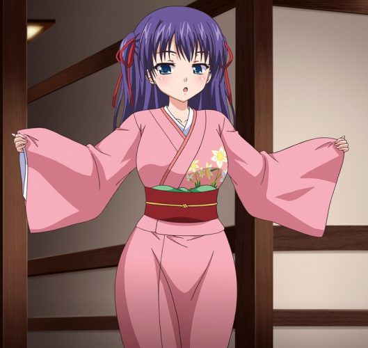 Shin-Hitou-Meguri-capture-1-700x394 Los 10 mejores animes Hentai con chicas en kimono