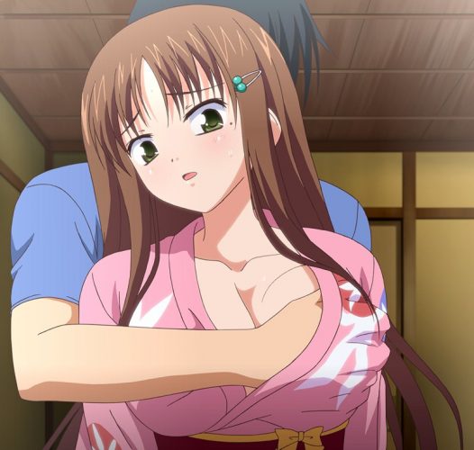 Shin-Hitou-Meguri-capture-1-700x394 Los 10 mejores animes Hentai con chicas en kimono