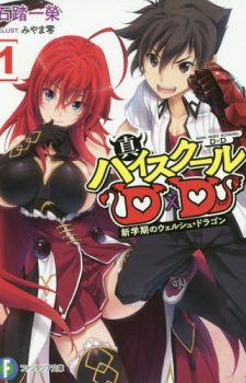 Shin-High-School-DxD-1--300x427 Weekly Light Novel Ranking Chart [07/24/2018]