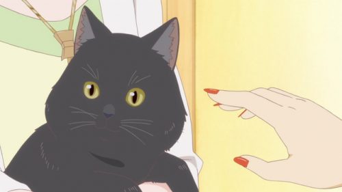 Kanojo-to-Kanojo-no-Neko-Wallpaper-500x493 Top 10 Cats in Anime