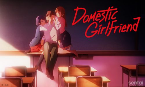 Domestic na Kanojo – 06 - Lost in Anime
