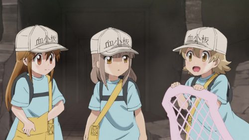 Hataraku-Saibou-Cells-at-Work-Wallpaper-5 Top 10 Supporting Characters in Anime of 2018