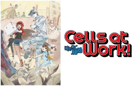 Cells-at-Work-logo-1-560x364 Cells at Work! Comes to Blu-ray with Brand New English Dub this Summer
