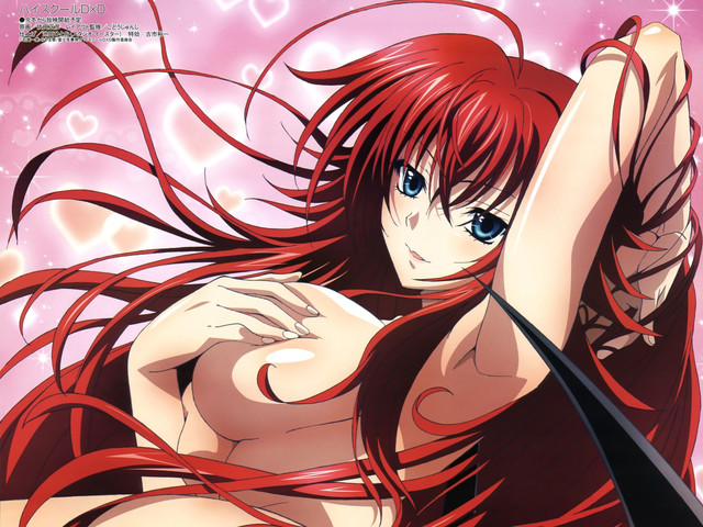 High-School-DxD-Wallpaper Top 10 Best Ecchi Anime of the 2010s [Best Recommendations]