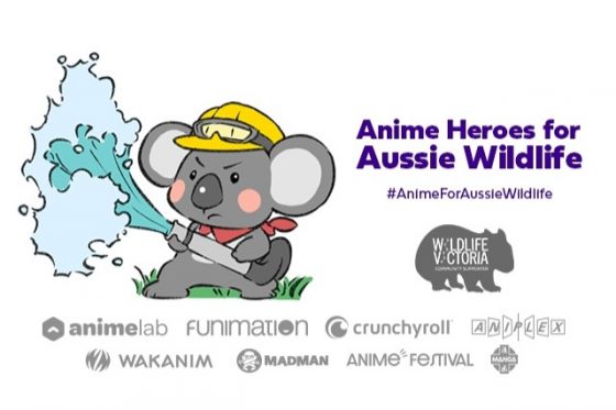 Aussie-Wildlife-Efforts-560x373 Support a Great Cause and Raise Donations for Aussie Wildlife! The Anime Community Must Come Together!