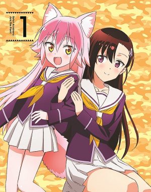 Murenase-Seton-Gakuen-dvd-300x381 6 Anime Like Murenase! Seton Gakuen (Seton Academy: Join the Pack!) [Recommendations]
