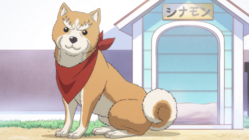 Oda-Cinnamon-Nobunaga-Wallpaper-1 Dogs and Daimyou: How Breeds in Oda Cinnamon Nobunaga Represent the Warlords