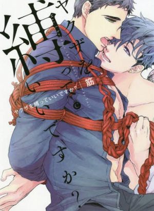 Manga yaoi porno gay course boat Breaking Stereotypes The Yakuza In Yaoi Manga