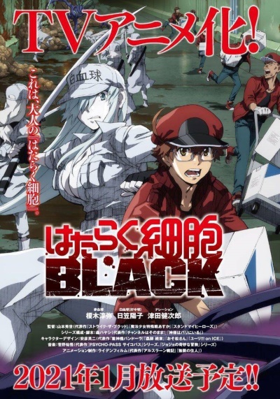 Cells-At-Work-Black Hataraku Saibou Black (Cells at Work! CODE BLACK)
