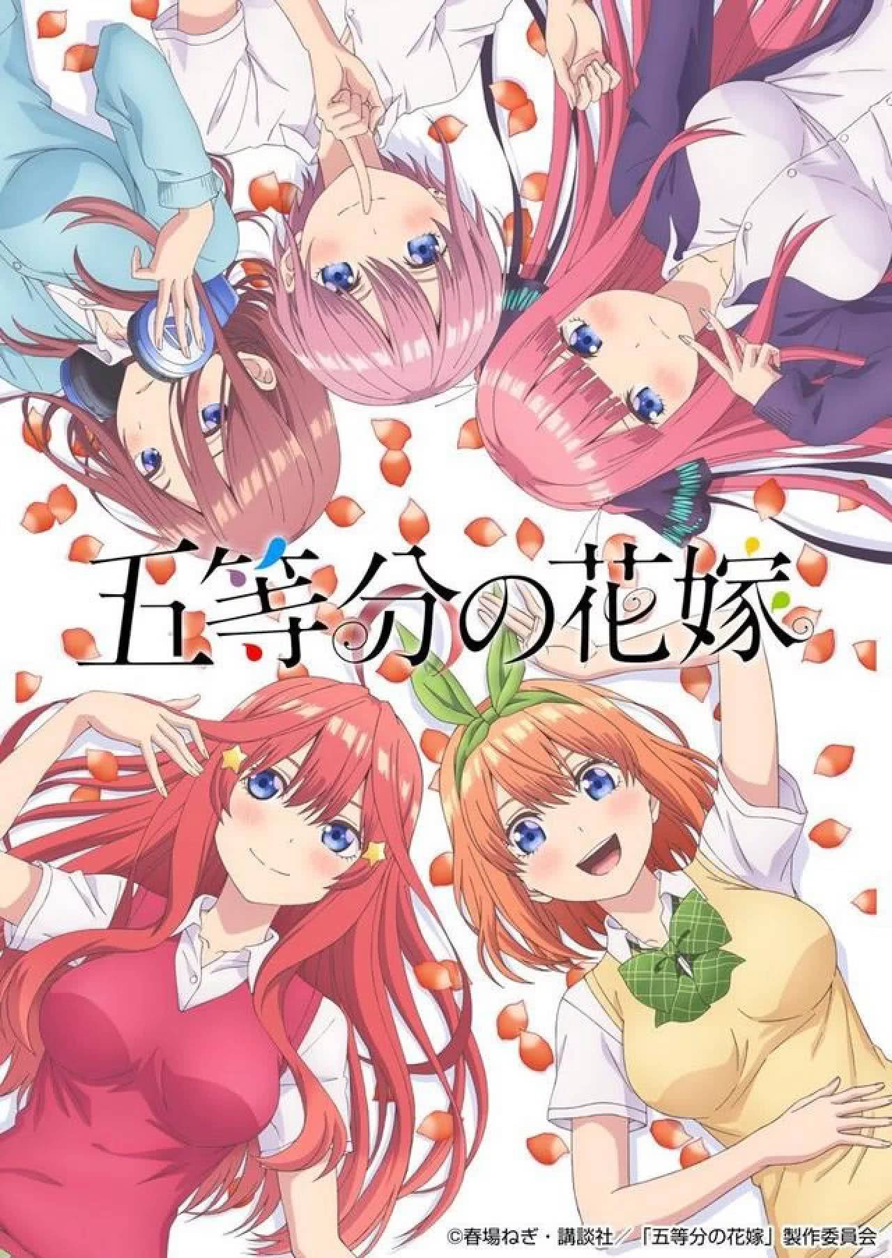 Gotoubun-no-Hanayome-dvd 5-toubun no Hanayome (The Quintessential Quintuplets)