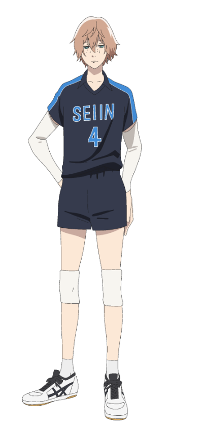 Seiin-Teaser-Visual 2.43: Seiin Koukou Danshi Volley-bu (2.43: Seiin High School Boys Volleyball Team)