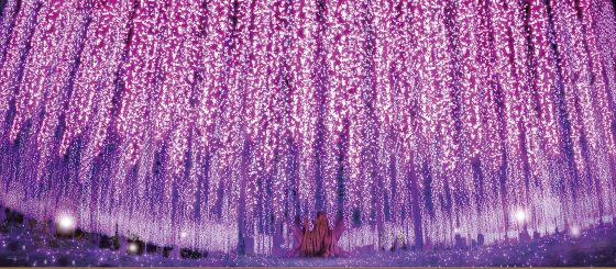 Intro-700x320 Best in Tokyo: Take a Virtual Vacay this Holiday with Japan’s Beautiful Tradition of Illuminations!