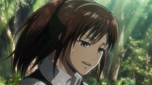 Featured image of post Sasha Season 4 Manga
