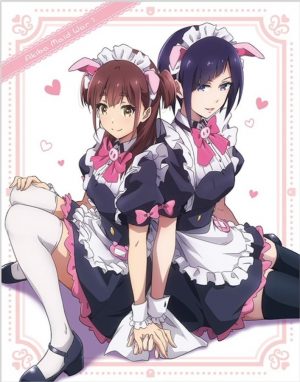 Akiba-Meido-Sensou-dvd-300x382 6 Anime Like Akiba Meido Sensou (Akiba Maid War) [Recommendations]
