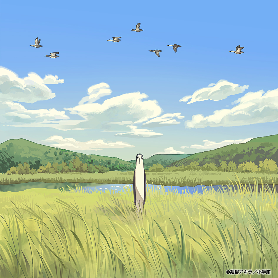 Galileo-Galilei-Komorebizaka-CD-jacket-illustration TV Anime Kujima Utaeba Ie Hororo Opening Theme Song “Komorebizaka”, by Galileo Galilei, CD Single Announcement and Jacket Illustration Reveal!